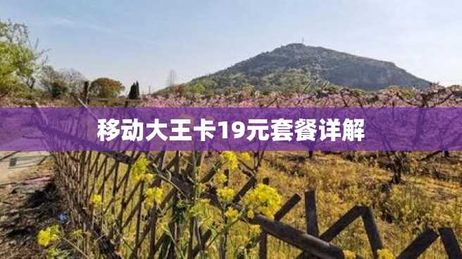 移动大王卡19元套餐详解 移动大王卡19元套餐详解