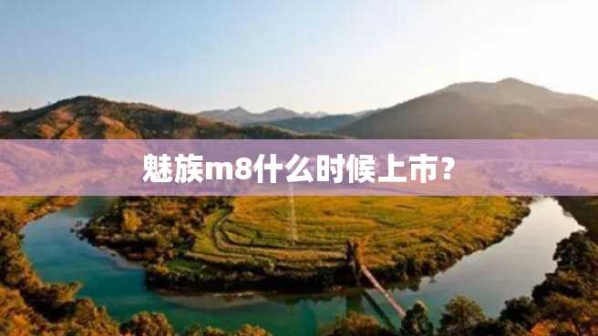 魅族m8什么时候上市? 魅族m8什么时候上市?