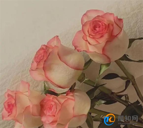 再爱一个男人,也不要做这两件事,他不仅不会珍惜你,还会厌倦你