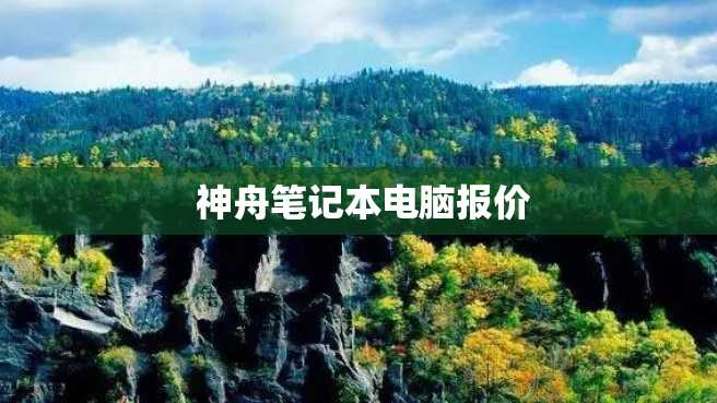  神舟笔记本电脑报价