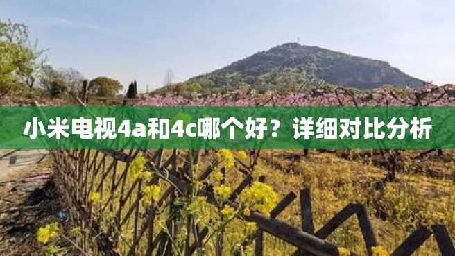 小米电视4a和4c哪个好?详细对比分析 小米电视4a和4c哪个好?详细对比分析