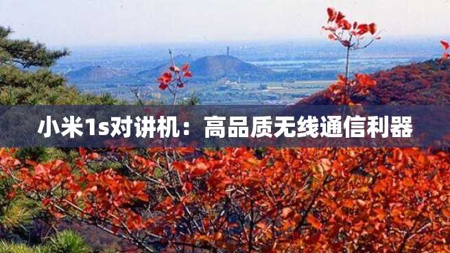 小米1s对讲机：高品质无线通信利器