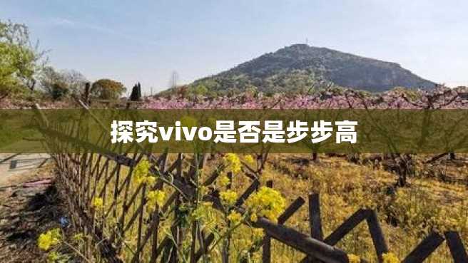 探究vivo是否是步步高 探究vivo是否是步步高