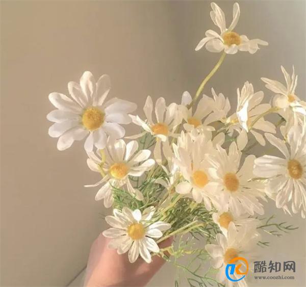 层次越高的男人,若打心底怕失去你,他越会对你做“这两件事”