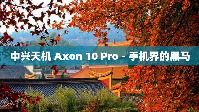 中兴天机 Axon 10 Pro - 手机界的黑马 中兴天机 Axon 10 Pro - 手机界的黑马