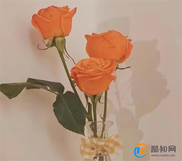 层次越高的男人,若打心底怕失去你,他越会对你做“这两件事”