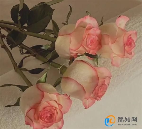层次越高的男人,若打心底怕失去你,他越会对你做“这两件事”