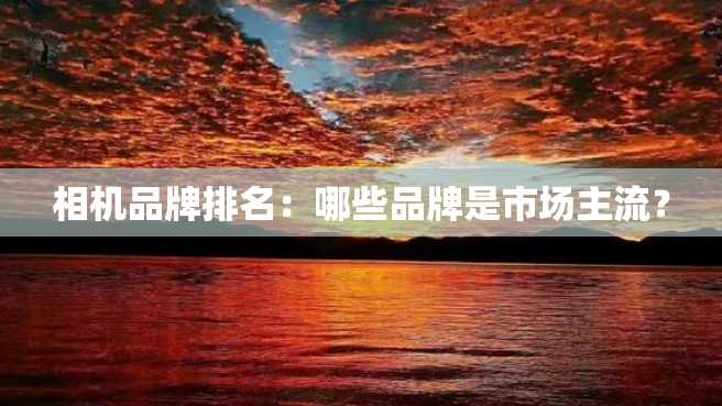 相机品牌排名:哪些品牌是市场主流? 相机品牌排名:哪些品牌是市场主流?