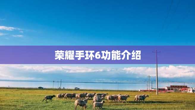 荣耀手环6功能介绍 荣耀手环6功能介绍