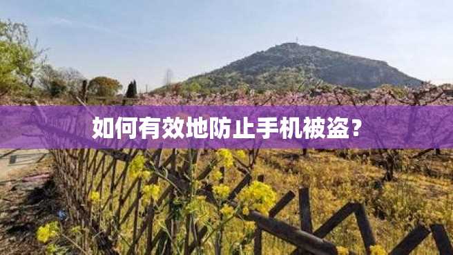 如何有效地防止手机被盗? 如何有效地防止手机被盗?