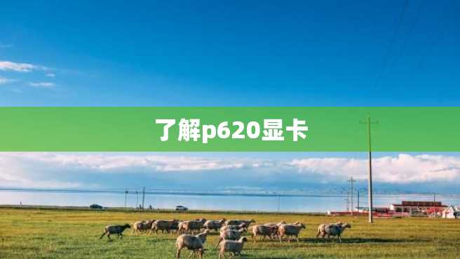 了解p620显卡 了解p620显卡