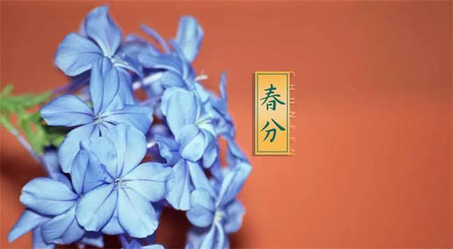 春分节气的特点和风俗 春分节气后面是什么节气
