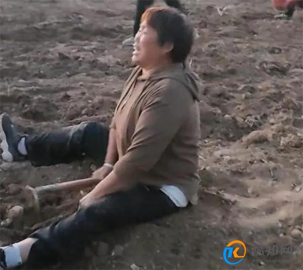 上百村民哄抢药材 承包户坐地大哭 当地部门回应_酷知科普