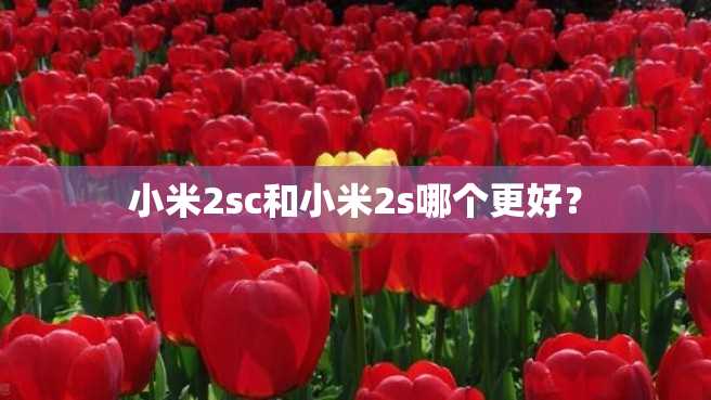 小米2sc和小米2s哪个更好? 小米2sc和小米2s哪个更好?