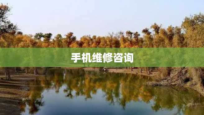 手机维修咨询 手机维修咨询