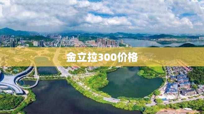 金立拉300价格 金立拉300价格