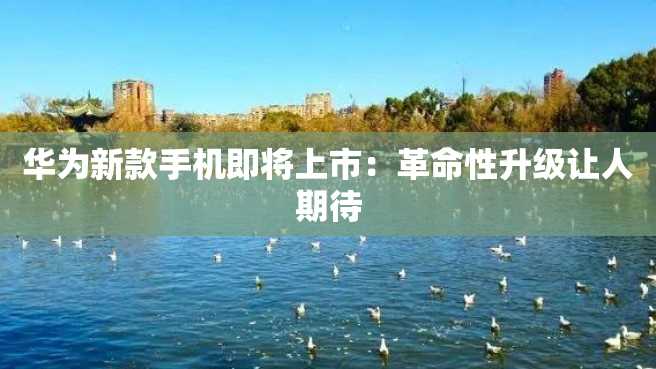 华为新款手机即将上市:革命性升级让人期待 华为新款手机即将上市:革命性升级让人期待