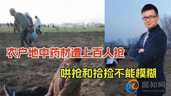 上百村民哄抢药材 承包户坐地大哭 当地部门回应_酷知科普