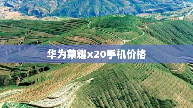 华为荣耀x20手机价格 华为荣耀x20手机价格
