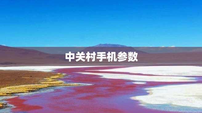中关村手机参数