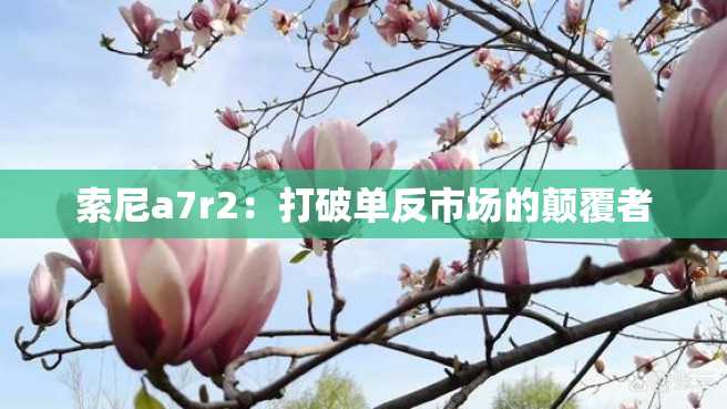 索尼a7r2:打破单反市场的颠覆者 索尼a7r2:打破单反市场的颠覆者