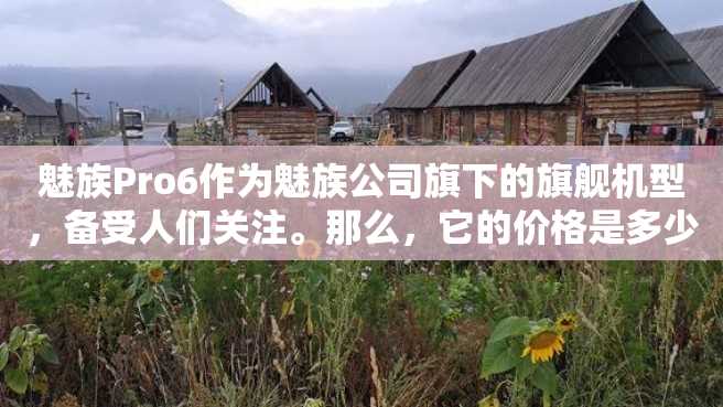 魅族Pro6作为魅族公司旗下的旗舰机型,备受人们关注。那么,它的价格是多少呢? 魅族Pro6作为魅族公司旗下的旗舰机型,备受人们关注。那么,它的价格是多少呢?