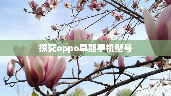 探究oppo早期手机型号 探究oppo早期手机型号