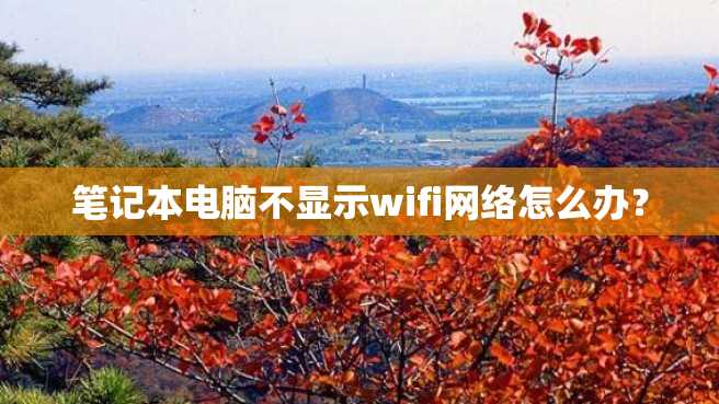 笔记本电脑不显示wifi网络怎么办? 笔记本电脑不显示wifi网络怎么办?