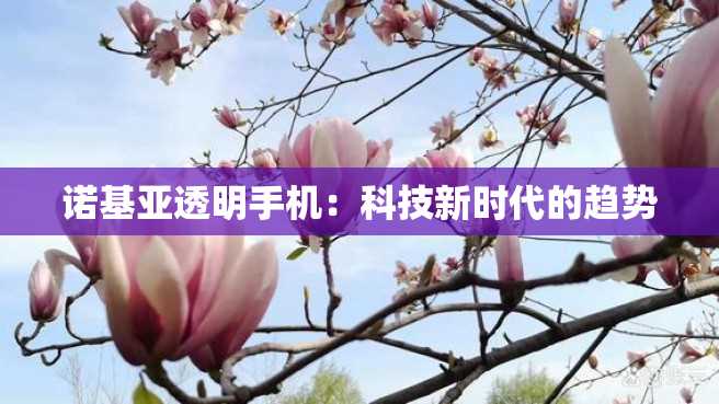 诺基亚透明手机:科技新时代的趋势 诺基亚透明手机:科技新时代的趋势