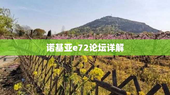 诺基亚e72论坛详解 诺基亚e72论坛详解