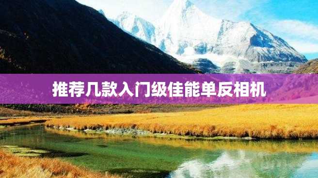 推荐几款入门级佳能单反相机 推荐几款入门级佳能单反相机