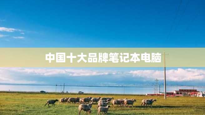 中国十大品牌笔记本电脑 中国十大品牌笔记本电脑