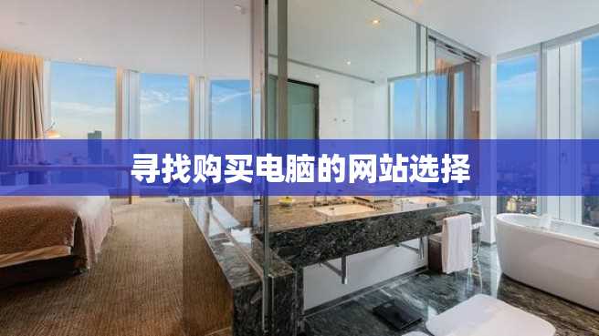 寻找购买电脑的网站选择 寻找购买电脑的网站选择