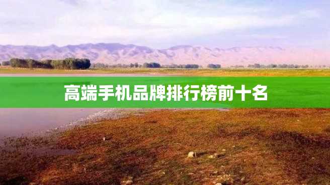高端手机品牌排行榜前十名 高端手机品牌排行榜前十名