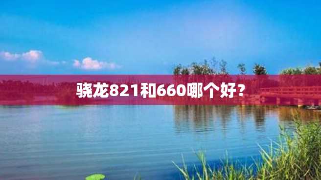 骁龙821和660哪个好? 骁龙821和660哪个好?