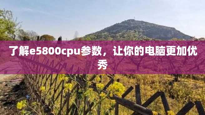 了解e5800cpu参数,让你的电脑更加优秀 了解e5800cpu参数,让你的电脑更加优秀
