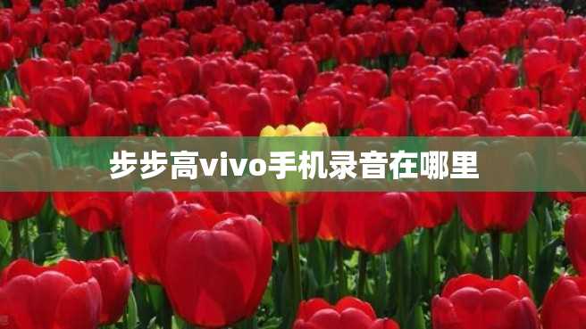 步步高vivo手机录音在哪里 步步高vivo手机录音在哪里
