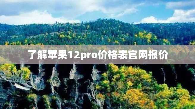 了解苹果12pro价格表官网报价 了解苹果12pro价格表官网报价