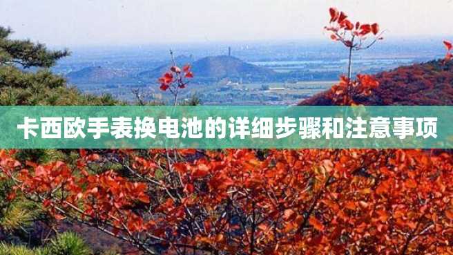 卡西欧手表换电池的详细步骤和注意事项 卡西欧手表换电池的详细步骤和注意事项