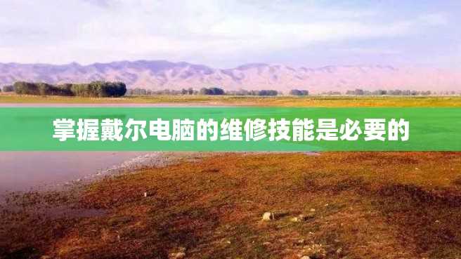 掌握戴尔电脑的维修技能是必要的 掌握戴尔电脑的维修技能是必要的
