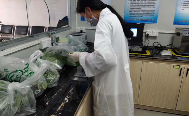 哪6种蔬菜农药残留为零  吃农药残留蔬菜有什么危害