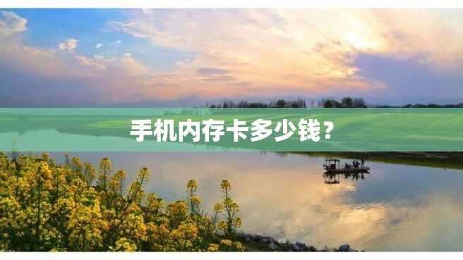 手机内存卡多少钱? 手机内存卡多少钱?