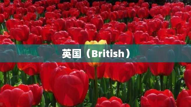 英国(British) 英国(British)