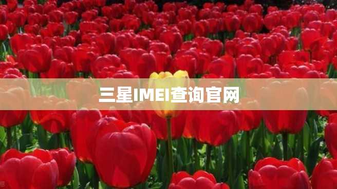 三星IMEI查询官网 三星IMEI查询官网