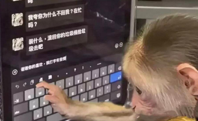 一夜之间 “吗喽”占领了年轻人的生活圈 反映了哪些问题