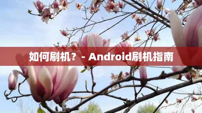 如何刷机?- Android刷机指南 如何刷机?- Android刷机指南