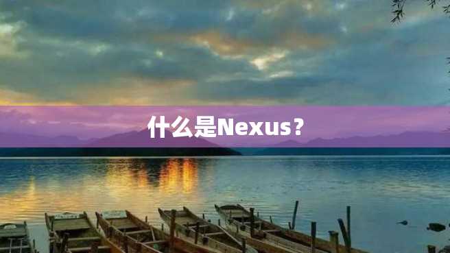 什么是Nexus? 什么是Nexus?