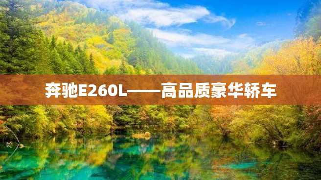 奔驰E260L——高品质豪华轿车 奔驰E260L——高品质豪华轿车