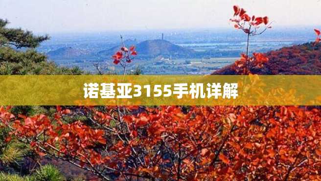 诺基亚3155手机详解
