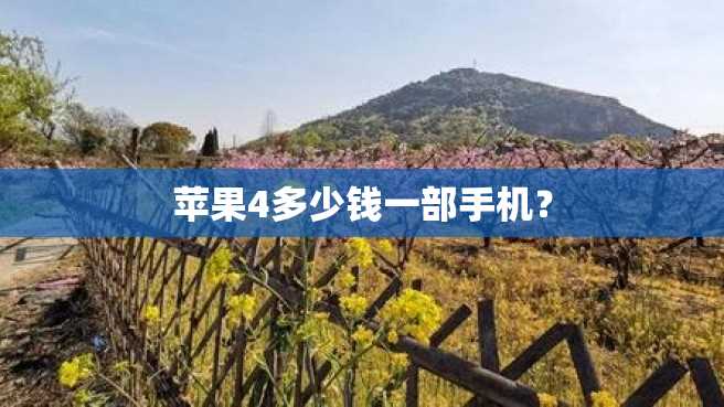 苹果4多少钱一部手机? 苹果4多少钱一部手机?